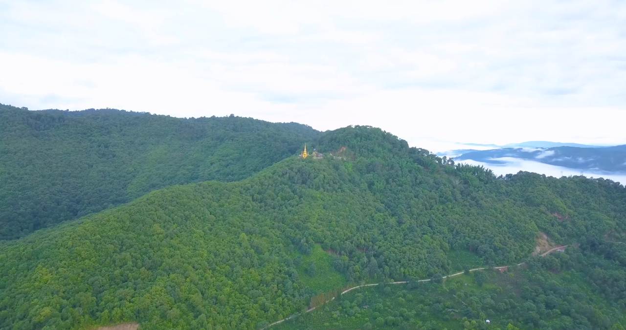16景迈山茶林茶山傣族大金塔震撼航拍