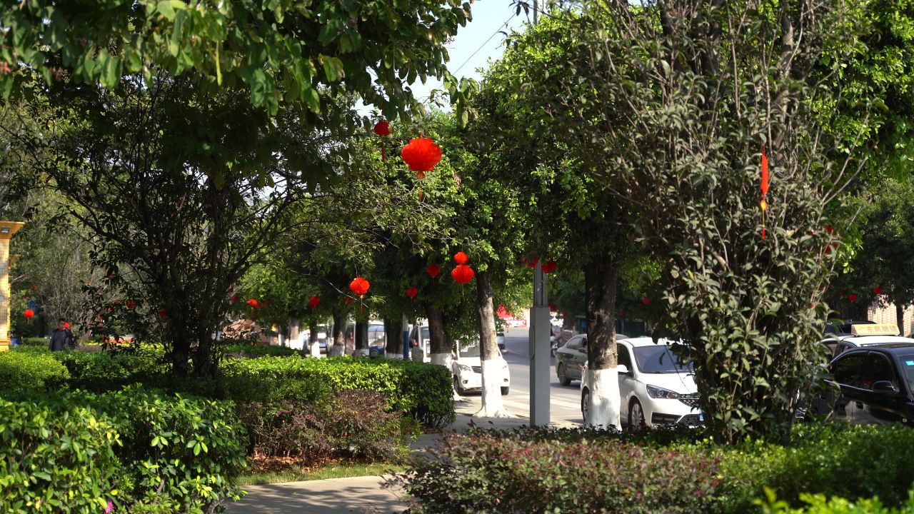 喜庆扫街 13