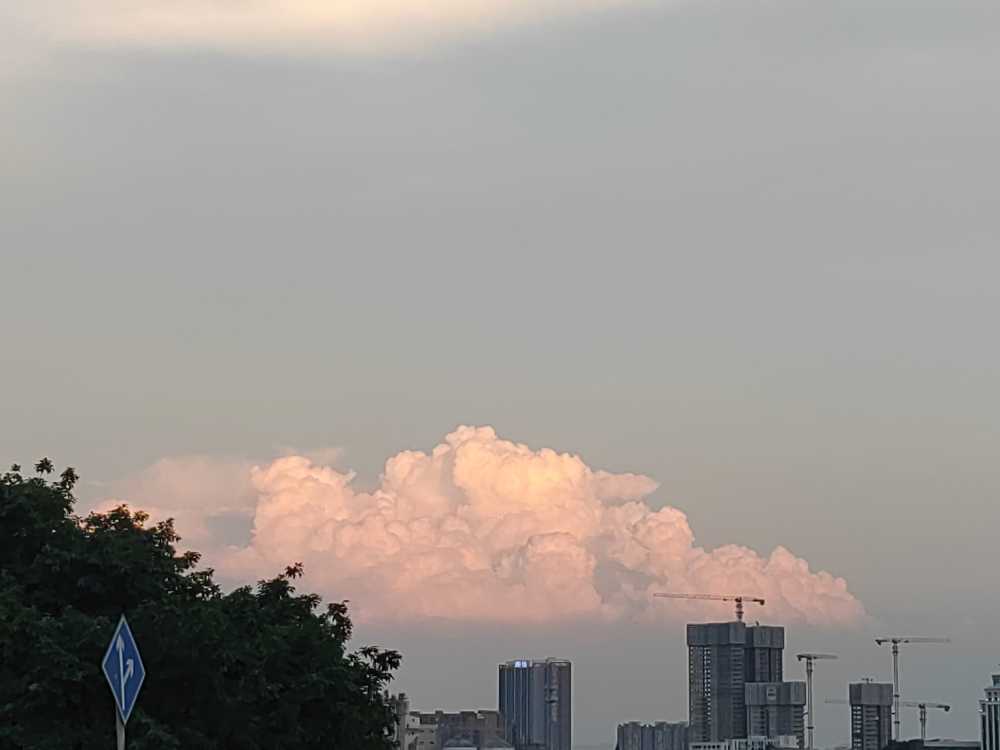 问白云