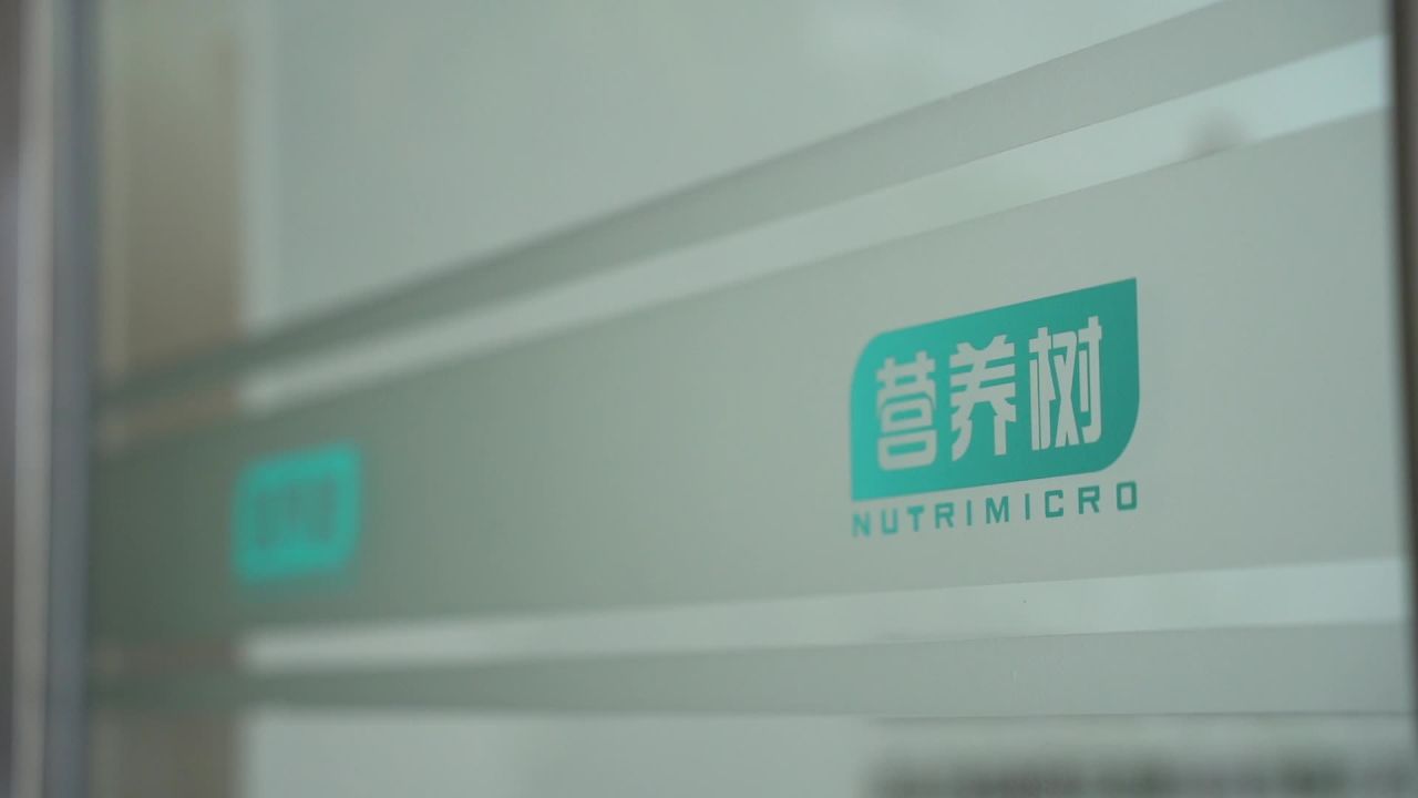 公司 40