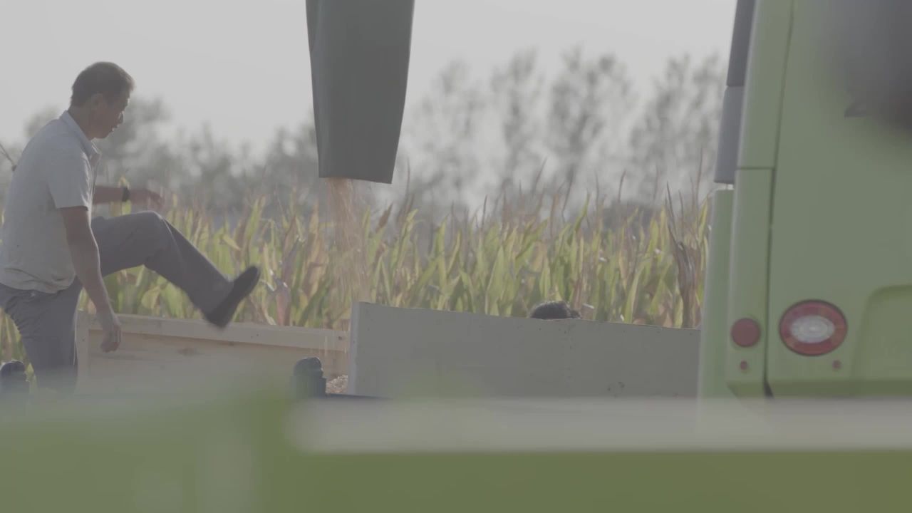 玉米地收割机