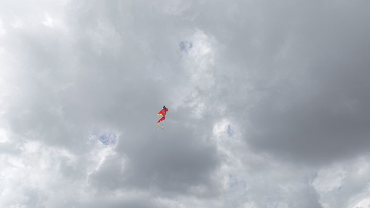 风筝 5