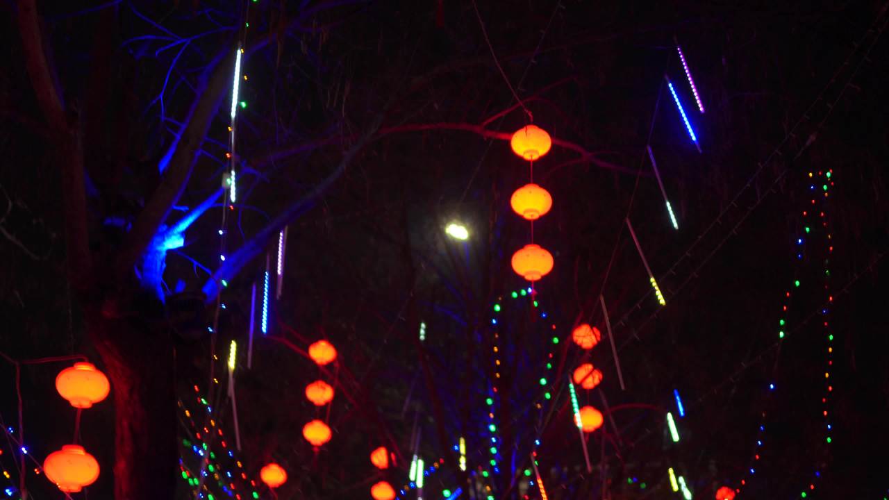夜色中的灯笼与彩灯