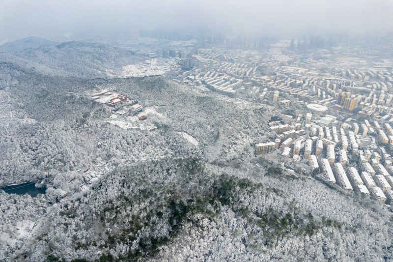 冬天雪景 