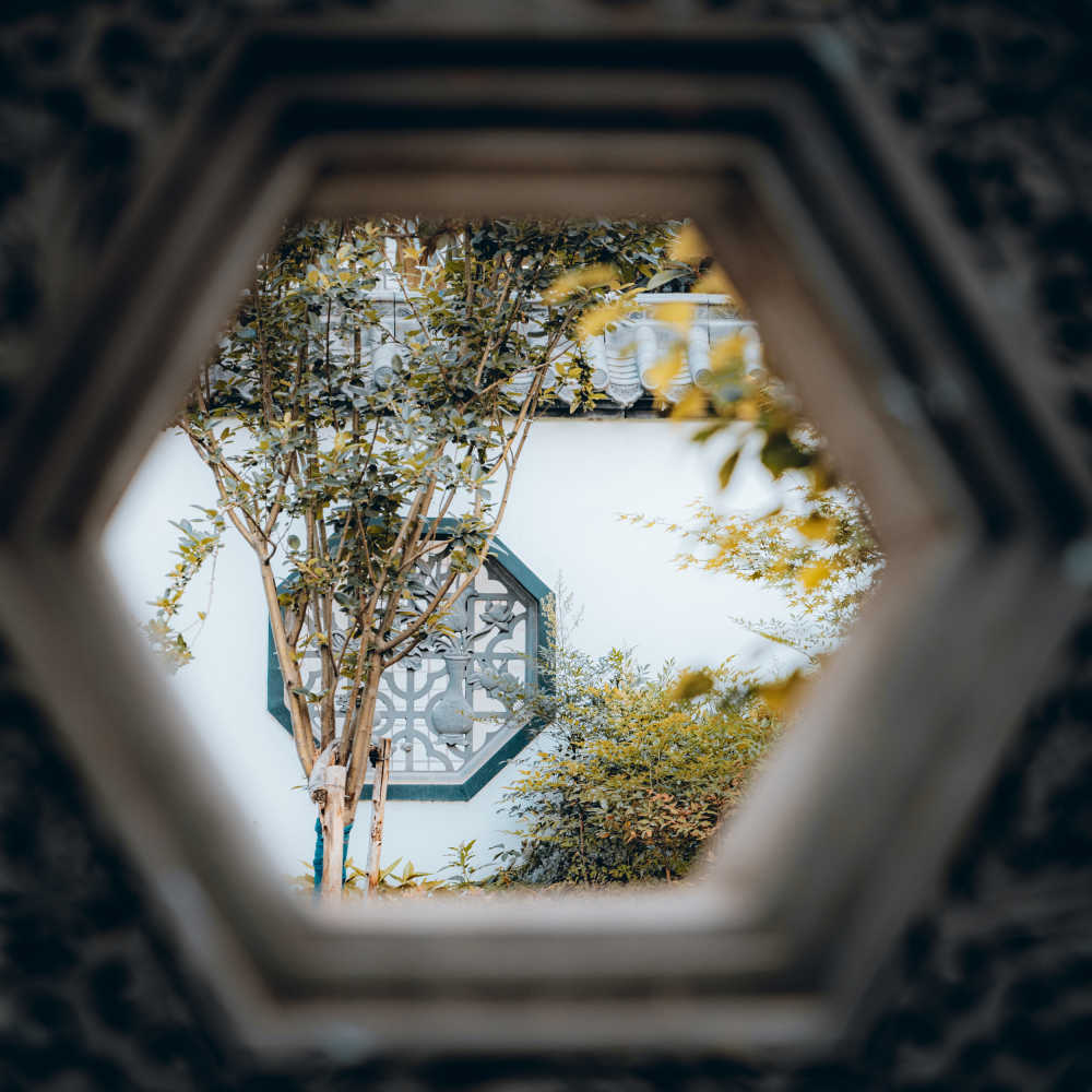窥探