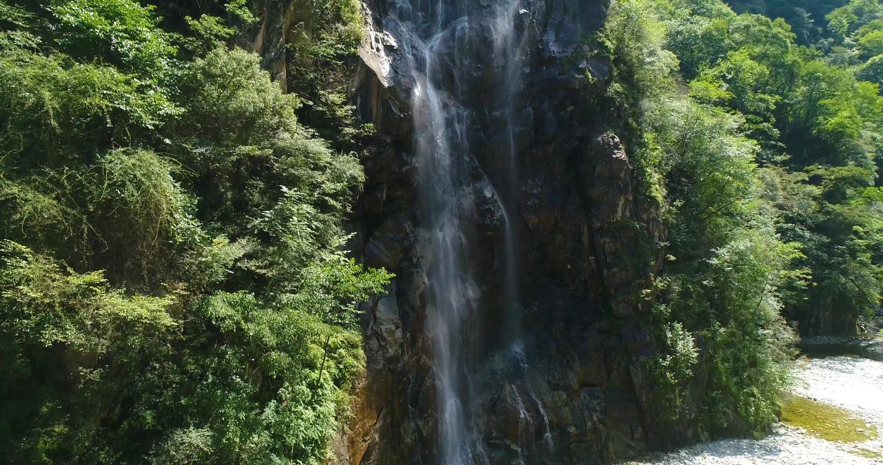 4k航拍森林流水航拍河流自然绿水青山