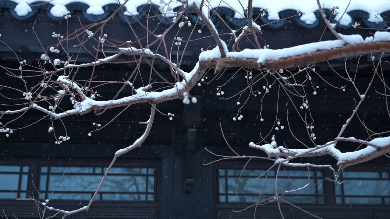 中式园林雪景 园林雪景 江南雪景 10