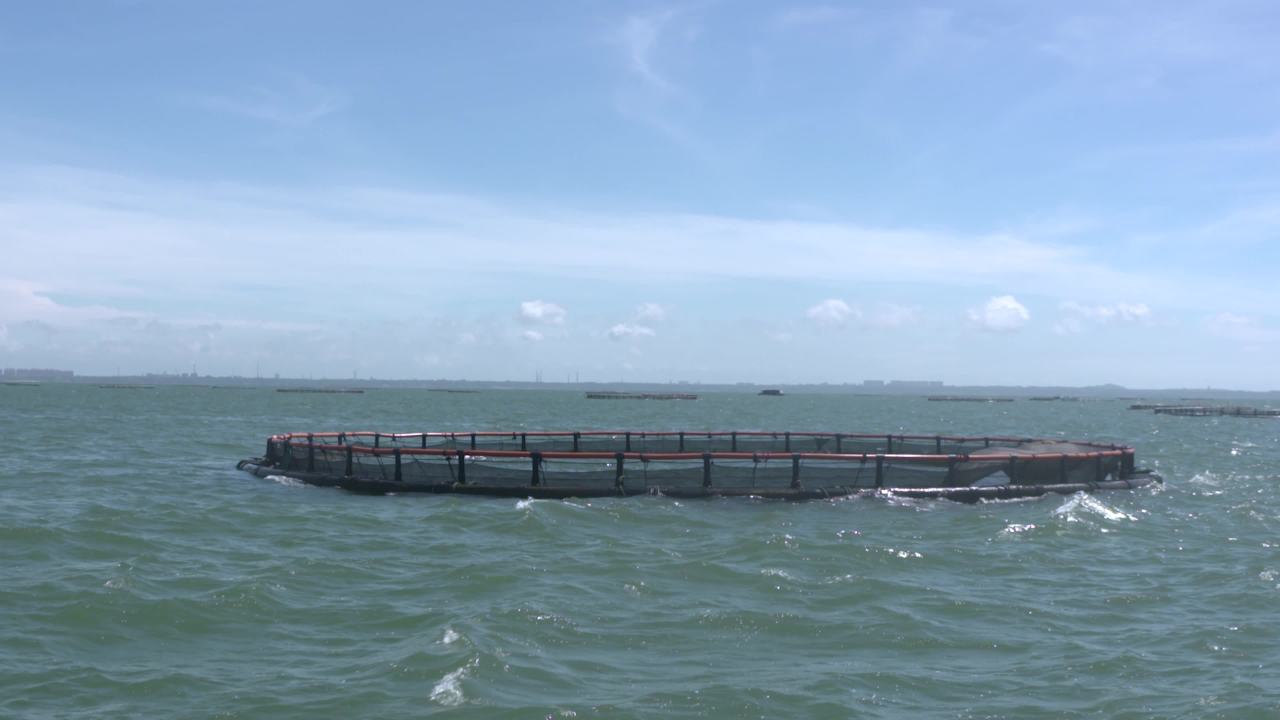 海洋牧场深海养殖