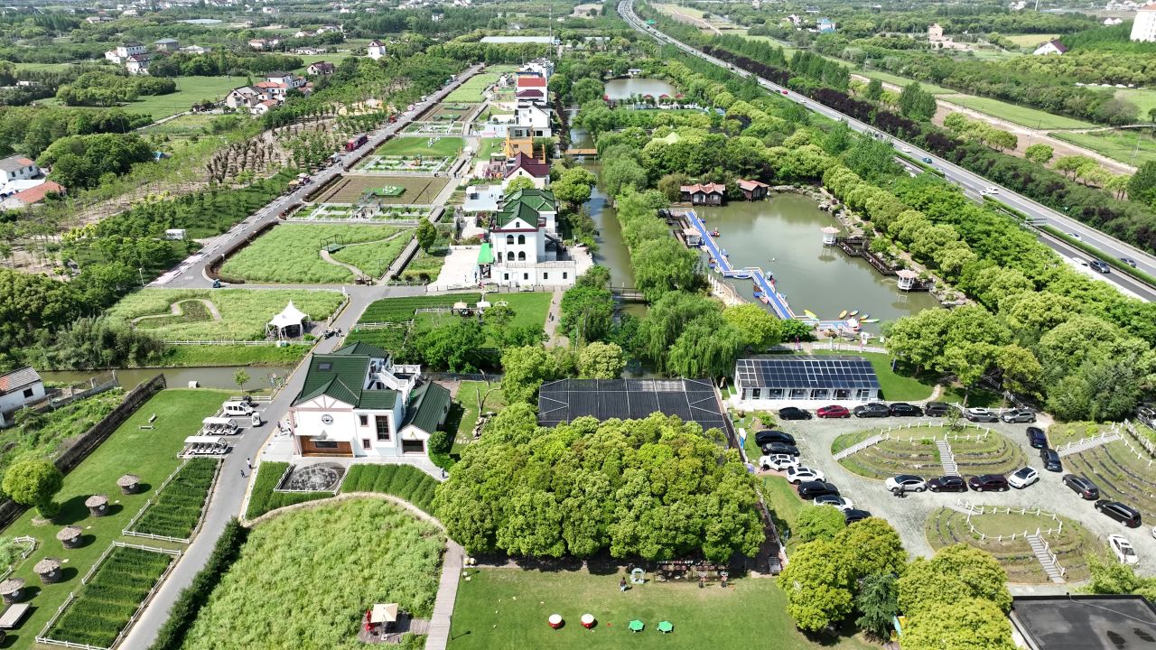 4K航拍上海金山区山阳田园 5