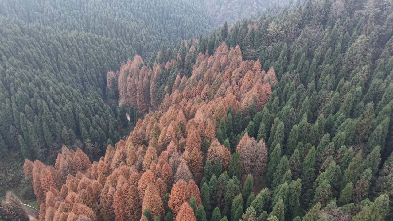 DJI_20251125132438_0007_D 3