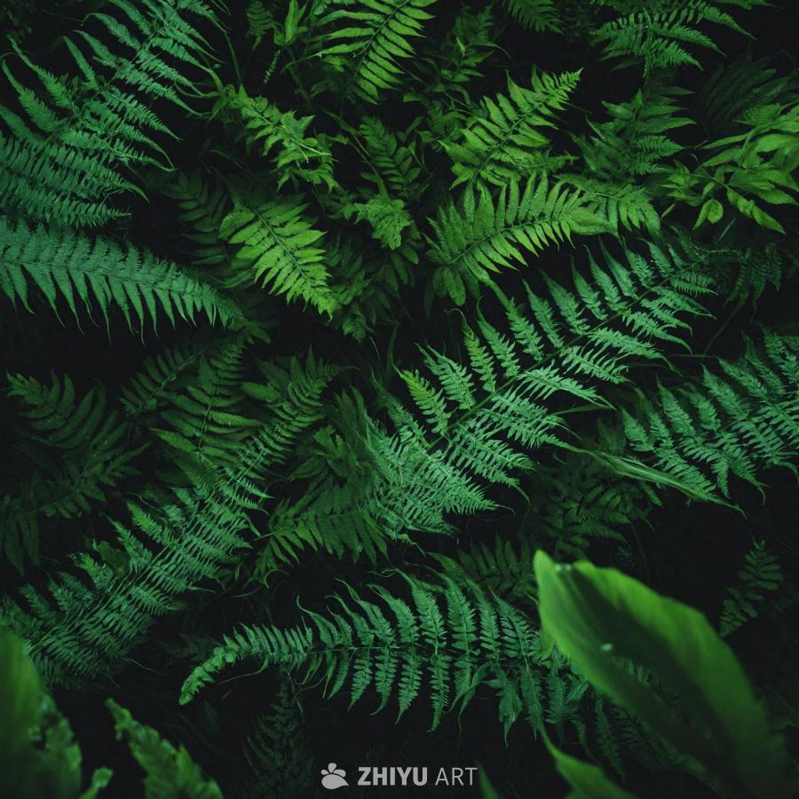 一片郁郁葱葱的绿色田野，植物茂盛地生长，包括蕨类植