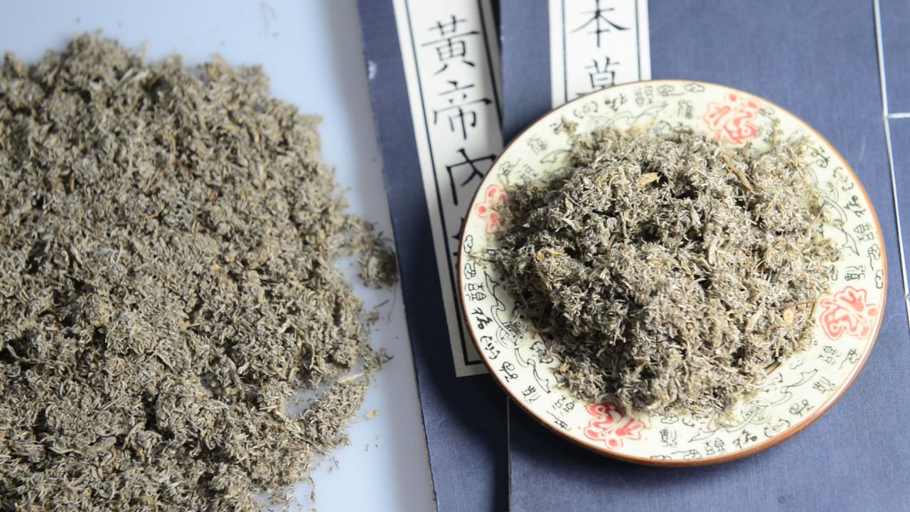 中药材茵陈 21