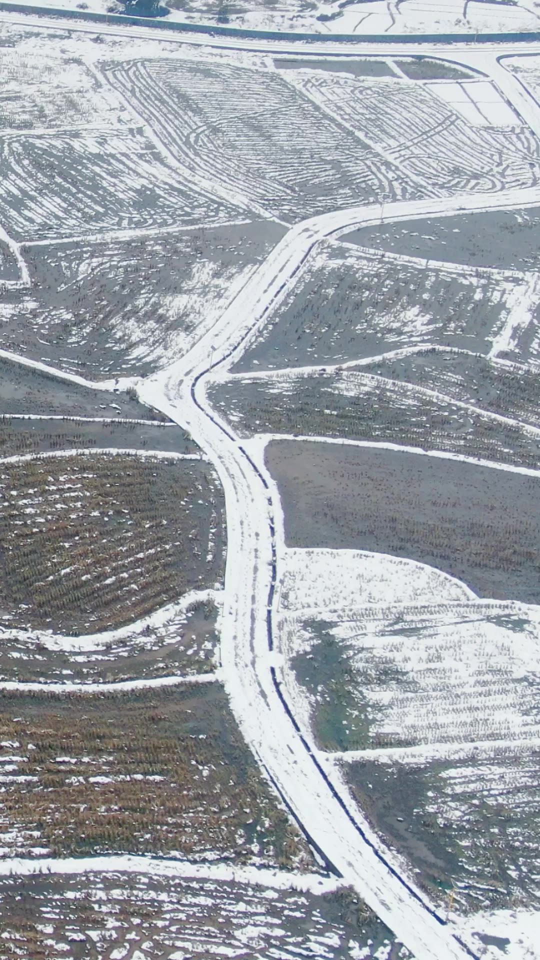 乡村 田园 冬 天雪景 竖屏 航拍