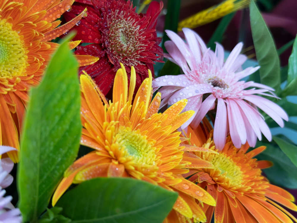 花