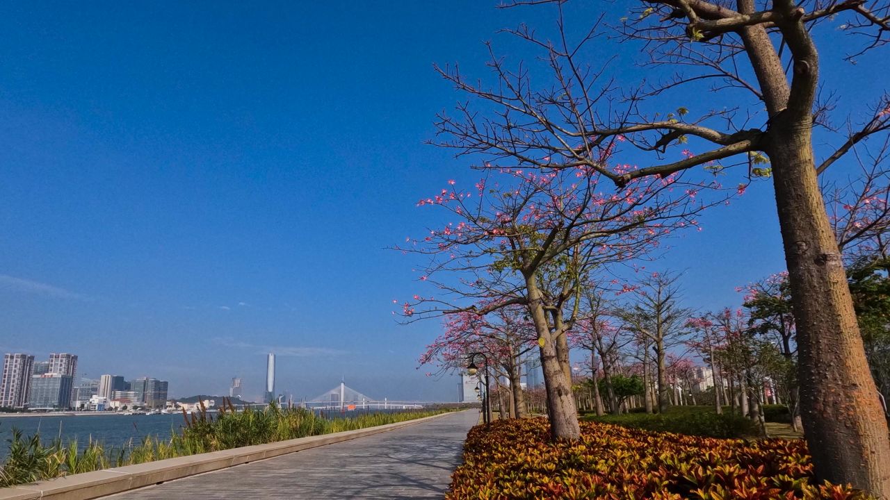 春晚珠海横琴分会场