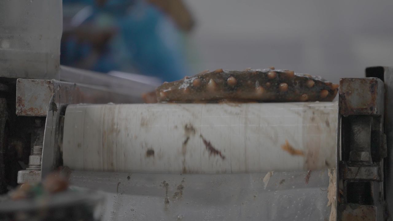 海参加工流水线作业