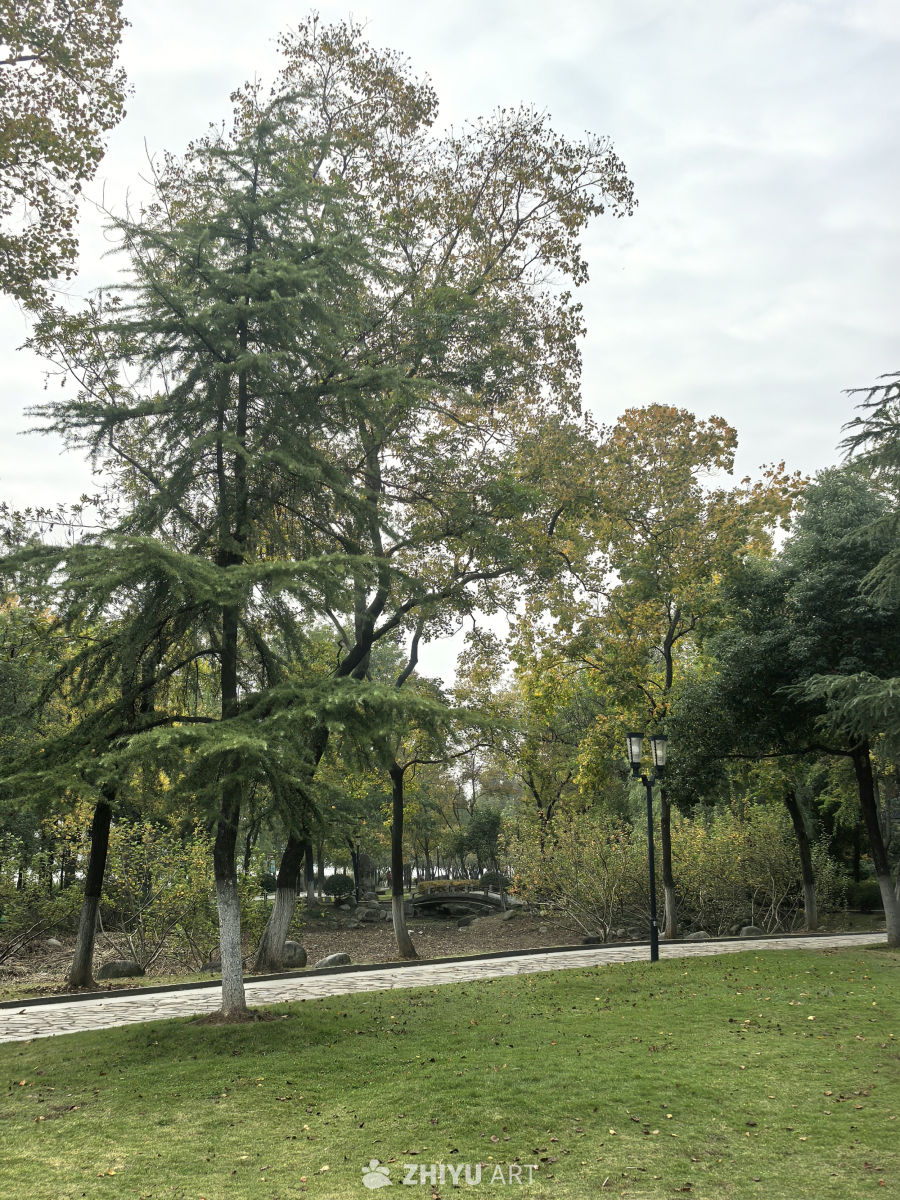 期许一场花开的绚烂，静赏一场花落的淡然！