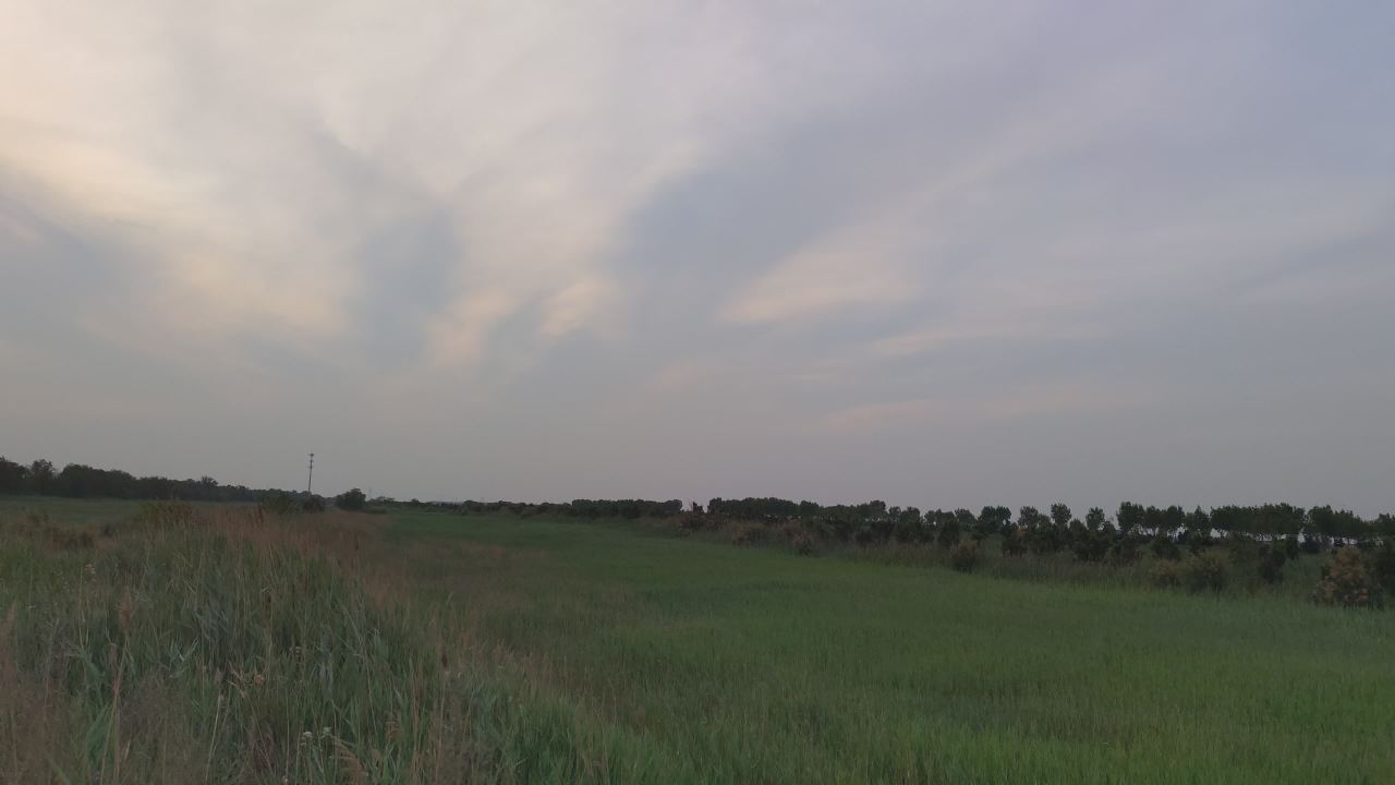 湿地 12