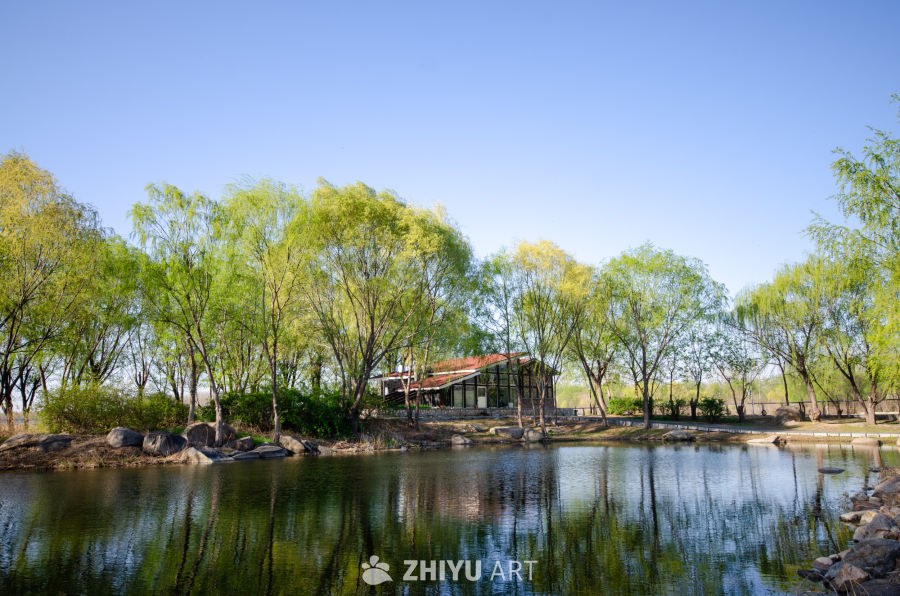 林间的建筑