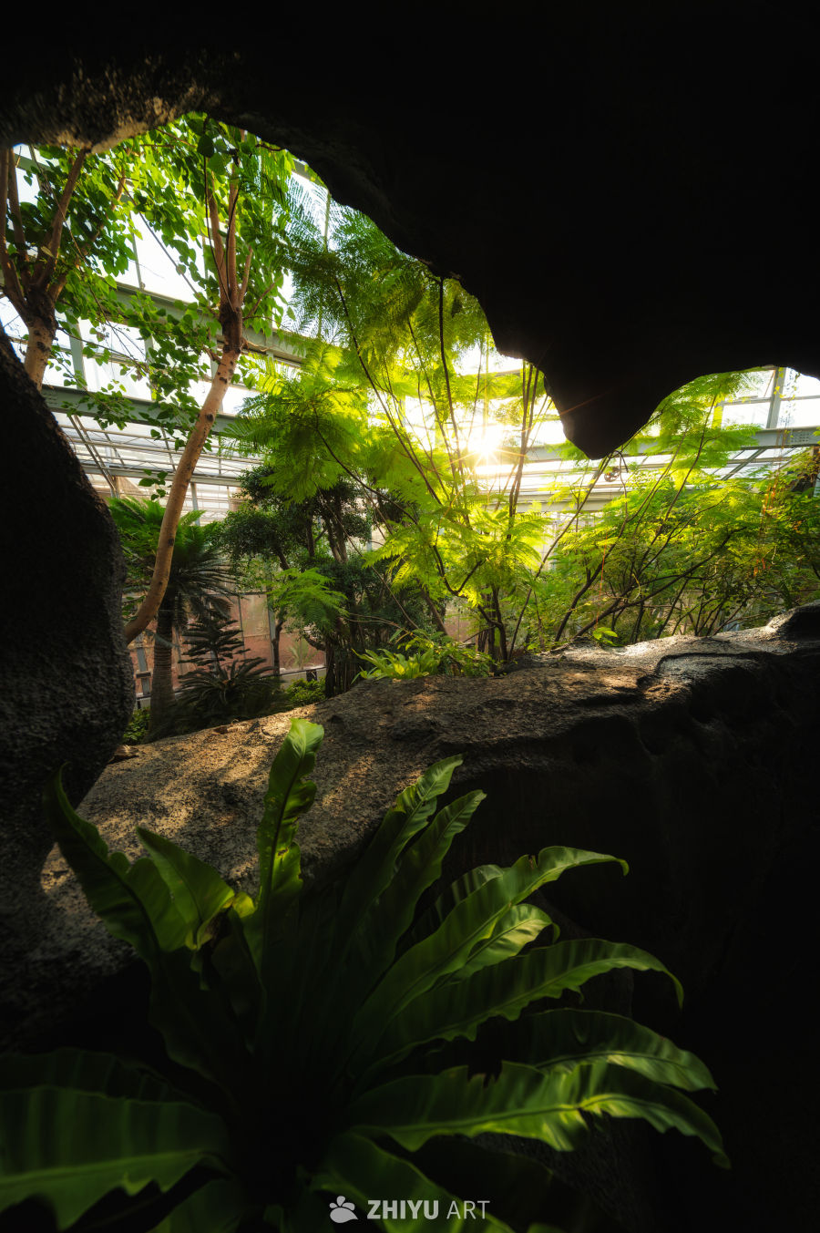 温室植物园，光影温馨 10