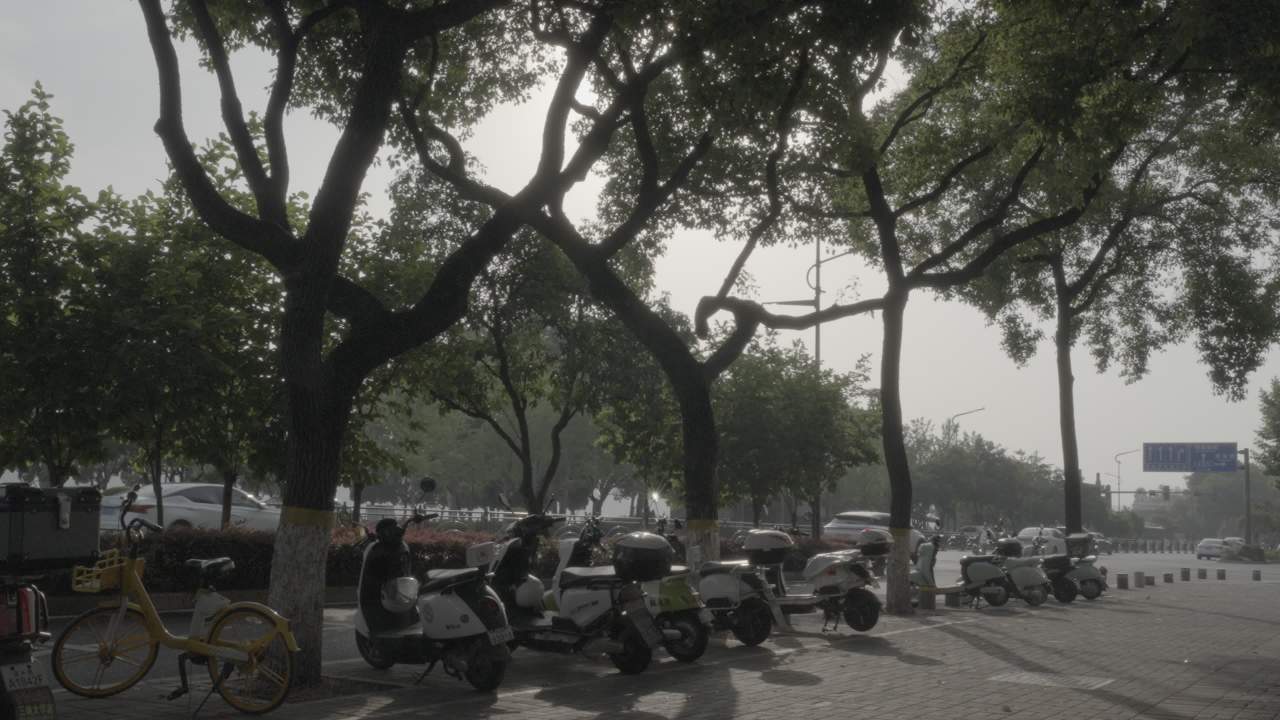 宜昌江边 9