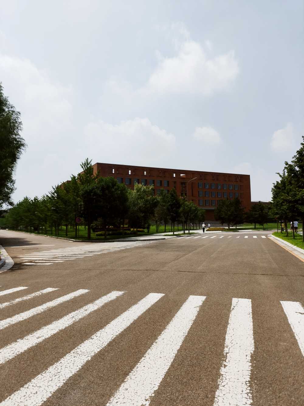 东北大学风景2
