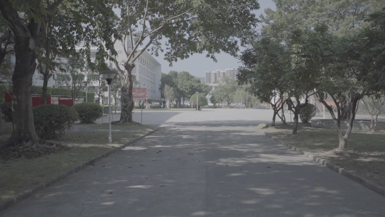 学校环境的空镜 16