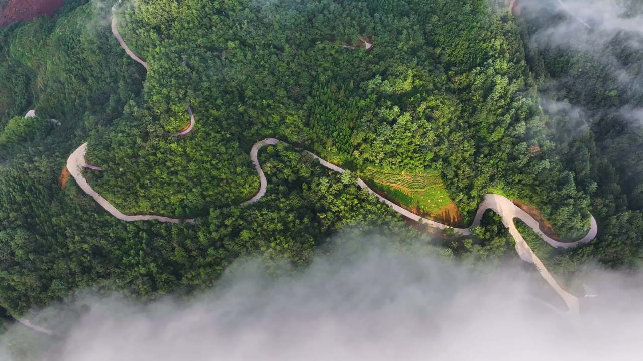 4k山区清晨  森林云雾  公路航拍