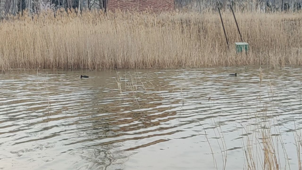 春景