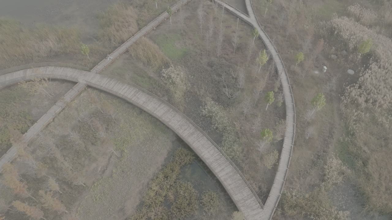 雾中蜿蜒木栈道