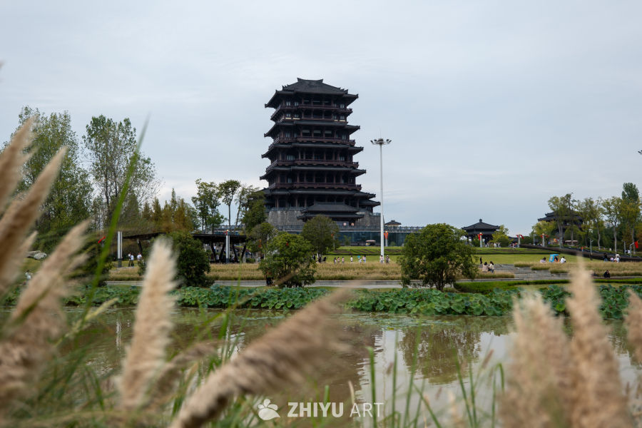 公园一角 8