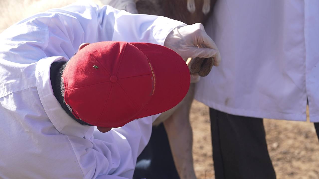 养殖场兽医防疫工作