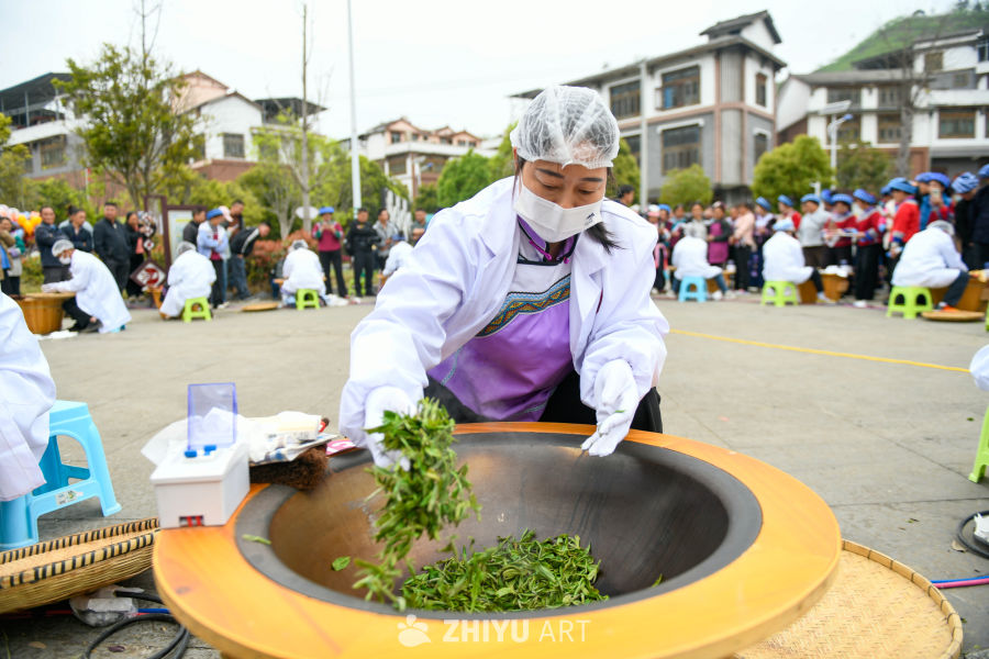 手工制茶 炒茶  茶叶产业 2