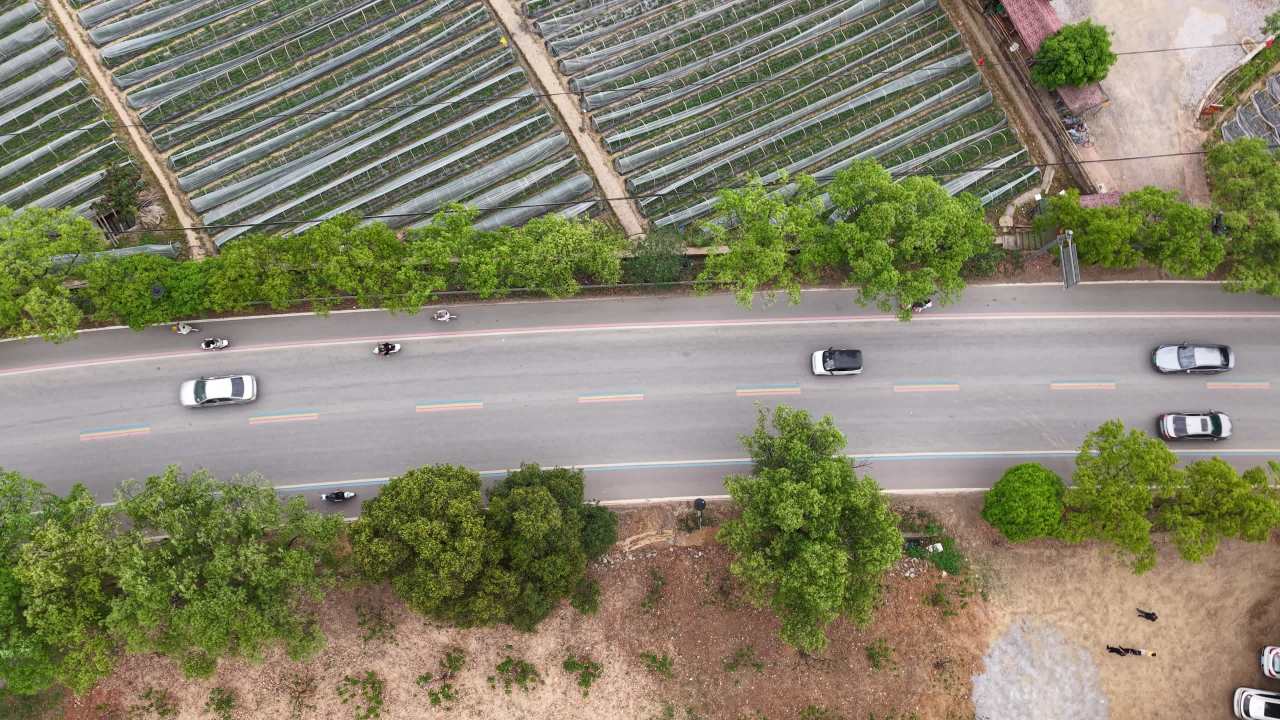 公路 11