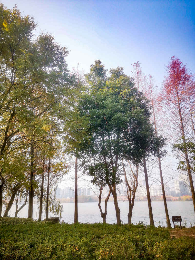 湖南长沙西湖公园摄影图 