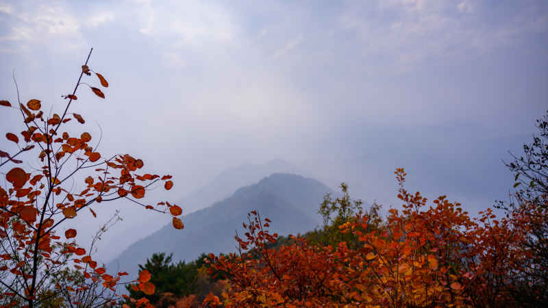 陕西秦岭圭峰山 2