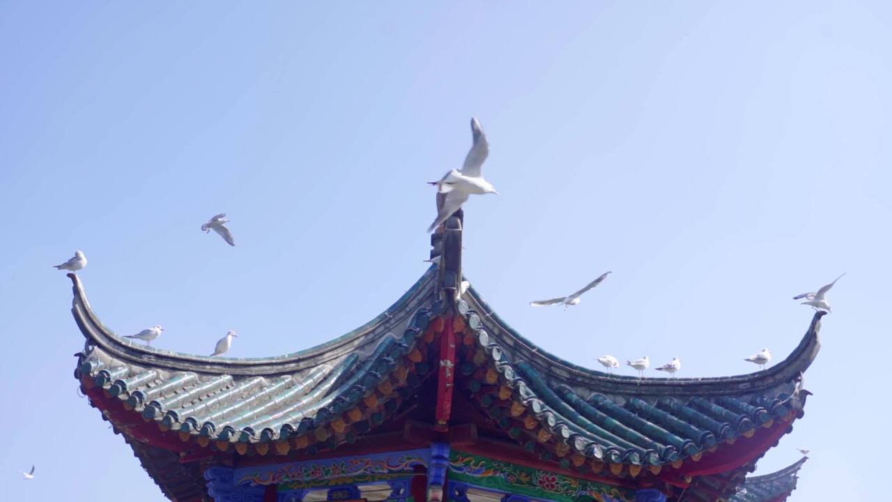 古建筑上的飞鸟