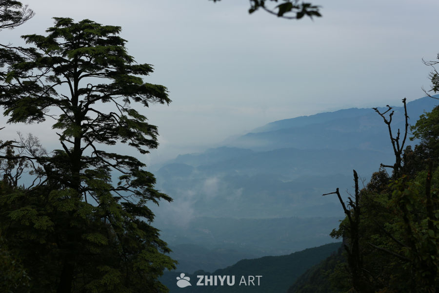 山间云海