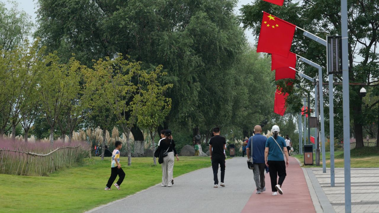 国庆江边芦苇荡 48