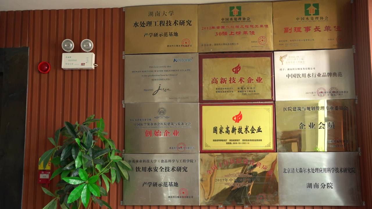 公司 2
