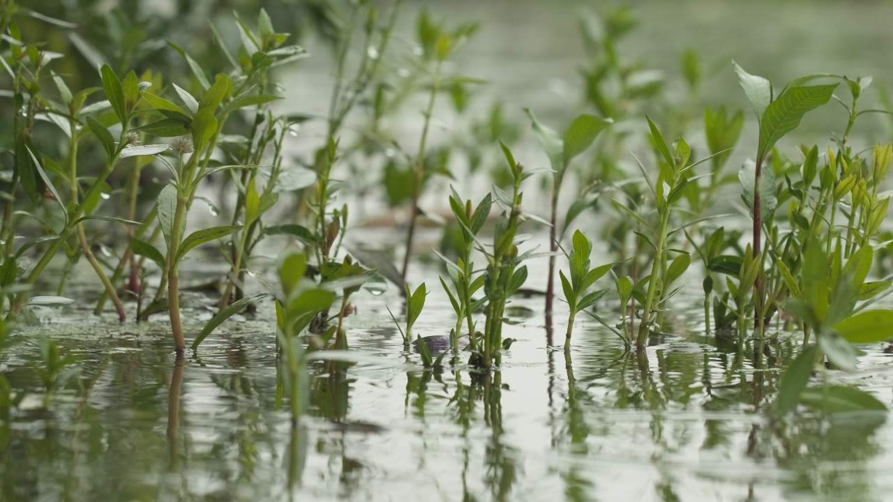 一天下雨水滴 41