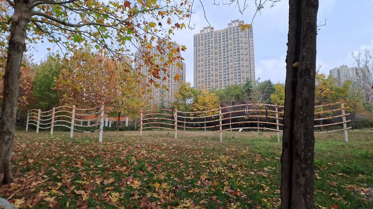 影石Insta360 GO Ultra 4K实拍视频样片 15