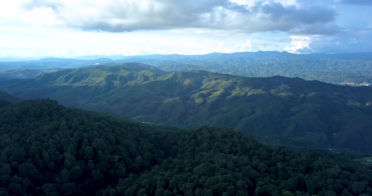 21云南乡村茶林茶山景迈山茶山航拍