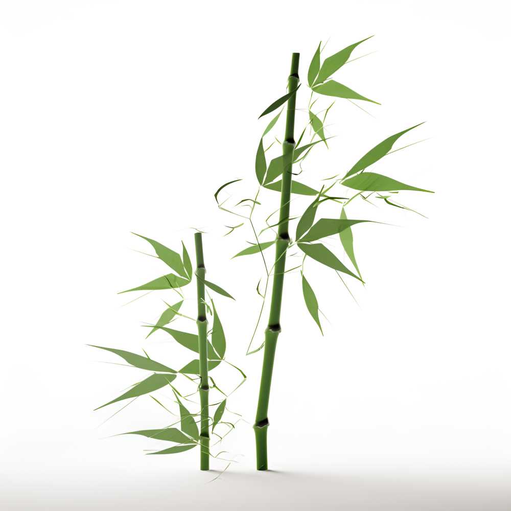 竹子叶元素超级高清