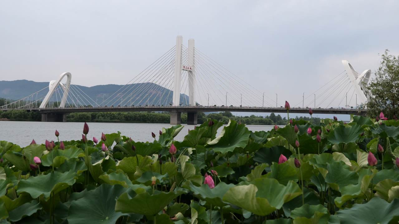 美丽的大桥 10