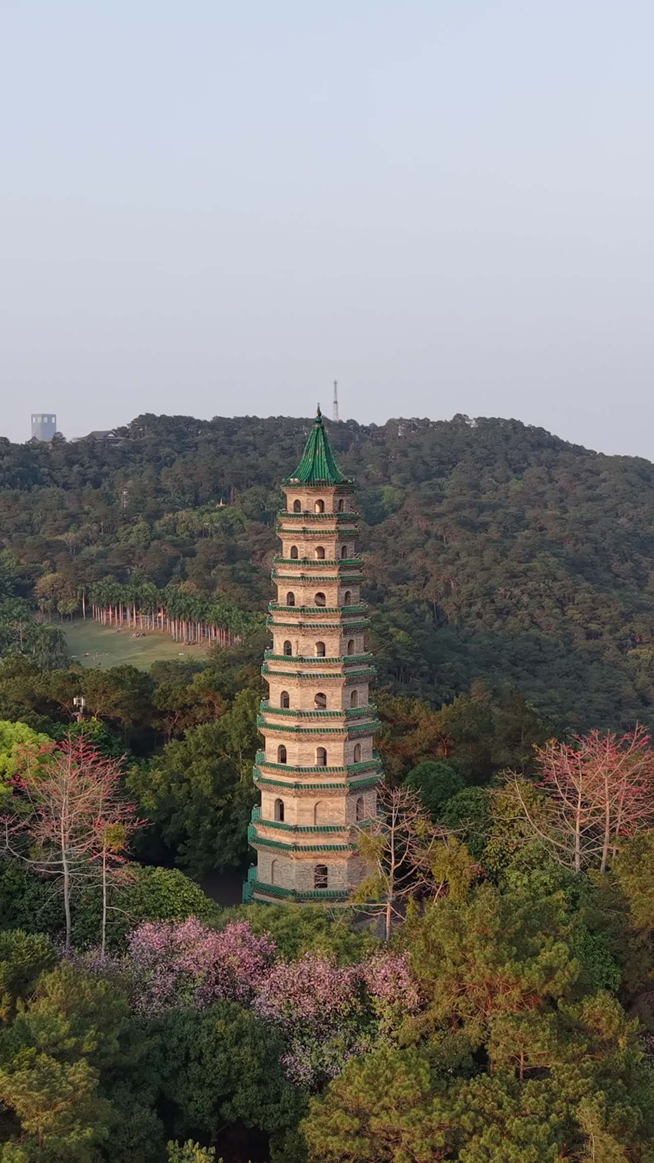 古塔与森林的和谐之美