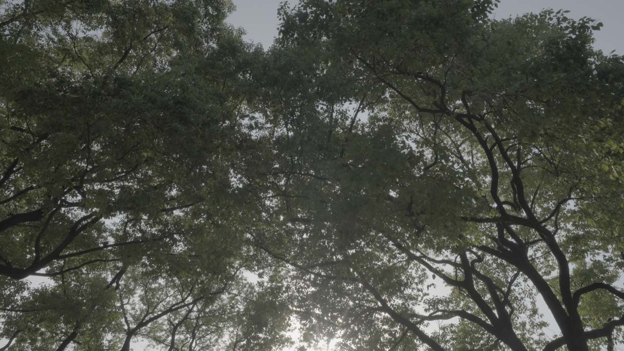 宜昌江边 16