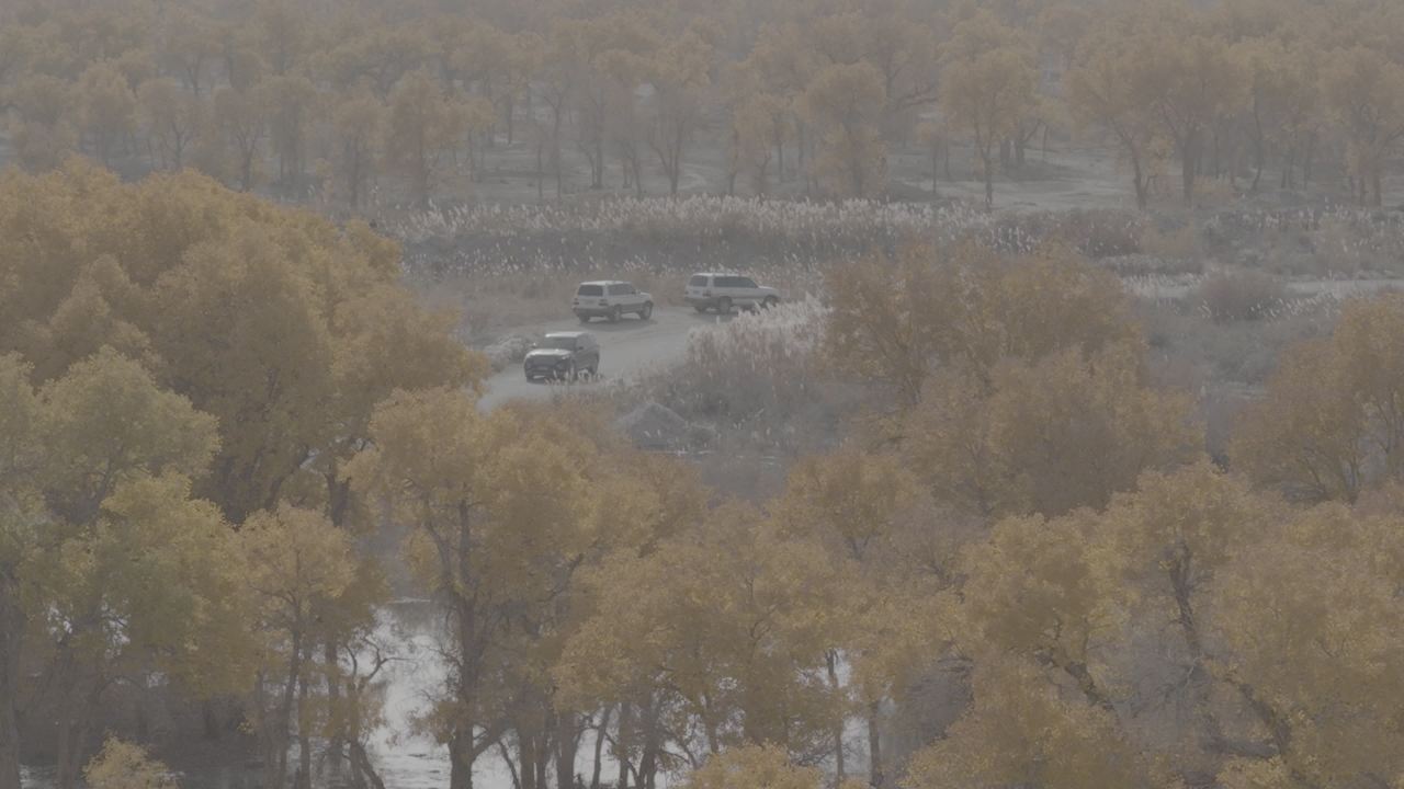 秋日林间越野之旅