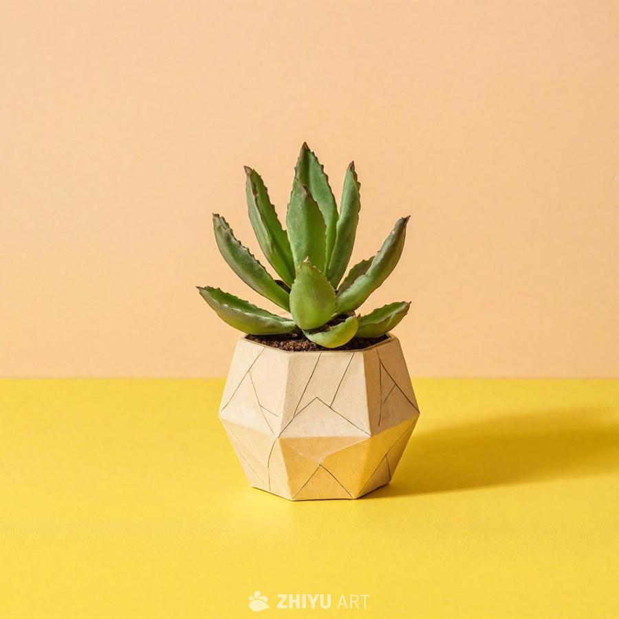 一张桌子上放着一盆小的、可爱的盆栽植物，它是照片的