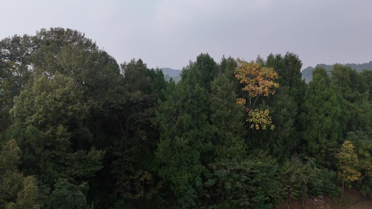 航拍山林村落风光